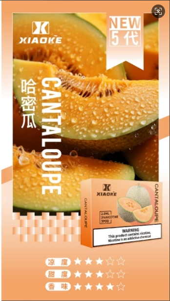 XIAOKE梟客五代煙彈-哈密瓜口味|通用悅刻RELX 4/5代主機口味