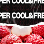 diya雪山荔枝煙彈,diya主機,diya煙油,叮啞菸油,叮啞煙油,diya菸油,diya,叮啞,diya電子煙,diya主機,diya口味,diya推薦,diya煙彈,diya糖果,diya電子菸,diya電子菸主機,diya口味推薦,diya購買,diya菸彈,diya電子菸購買,diya官網,diya菸彈推薦,電子煙,電子菸推薦,電子煙口味,電子煙推薦,diya糖果口味,叮啞電子煙ptt,叮啞電子煙dcard,叮啞電子煙評價,diya煙彈口味推薦,叮啞主機,diya主機說明書,diya拋棄式四代,diya7000口拋棄式,diya新款電子煙,叮啞電子煙,叮啞口味,叮啞推薦,叮啞煙彈,叮啞糖果,叮啞電子菸,叮啞電子菸主機,叮啞口味推薦,叮啞購買,叮啞菸彈,叮啞拋棄式,diya煙桿,叮啞官網