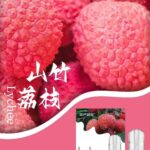 SP2S思博瑞山竹荔枝煙彈，清甜荔枝搭配熱帶山竹果香，通用一代主機煙彈推薦